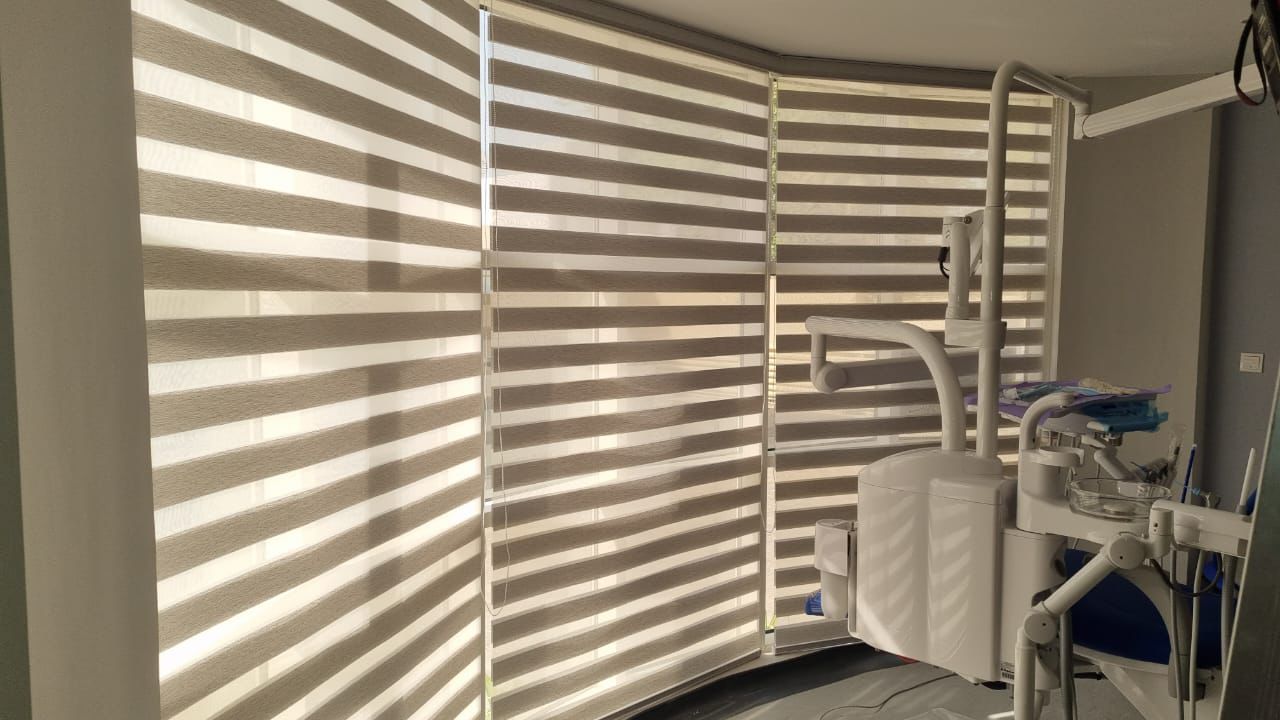 Zebra Blinds